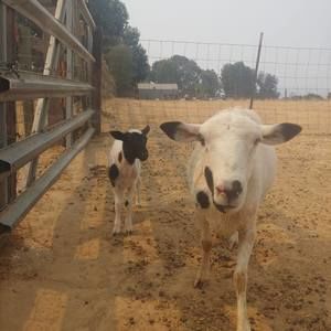 Meet your Posher, Sandra